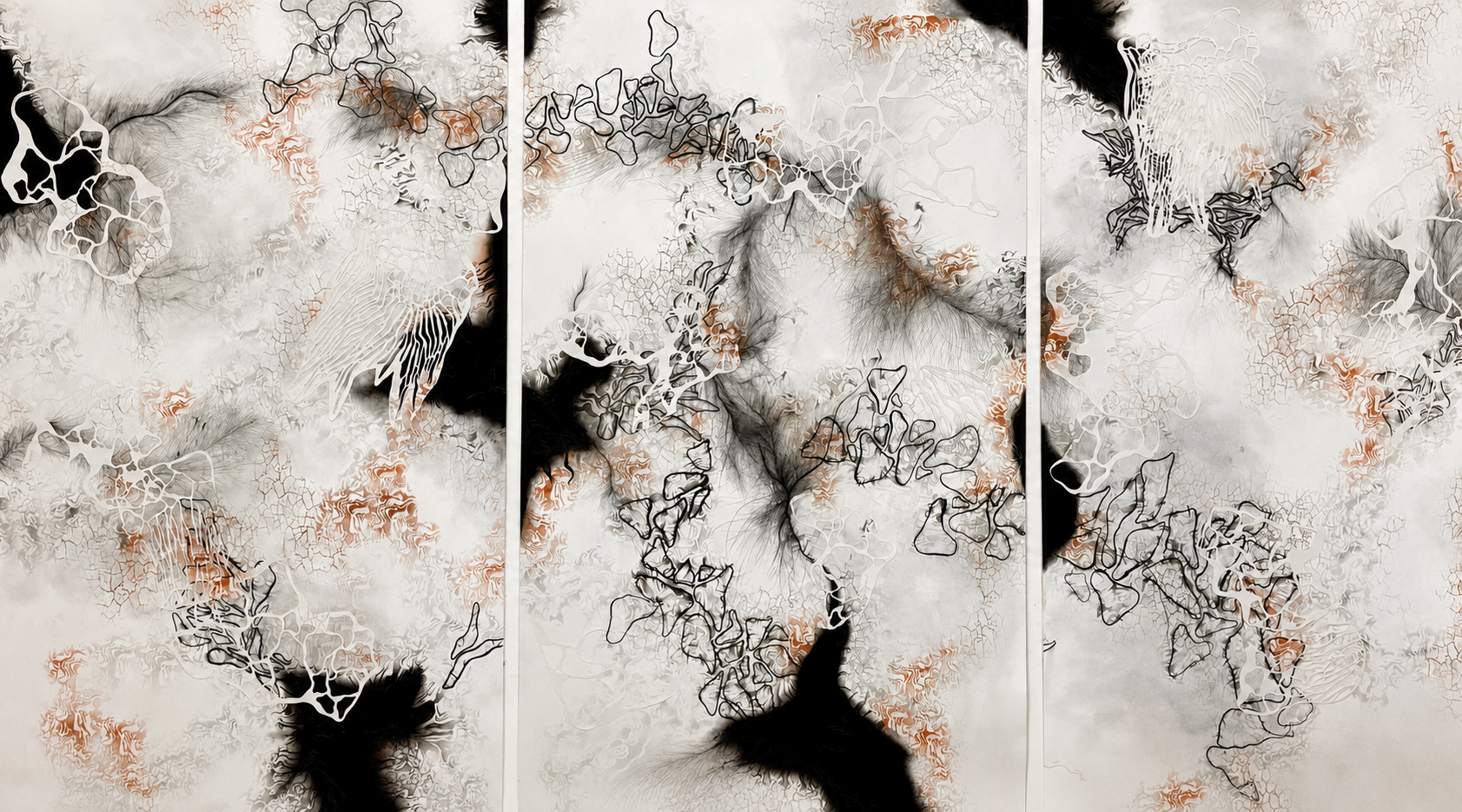 Anya Kalsi, Convergence of Subtle Movements, 2025, set of three works in charcoal, graphite and fine liners