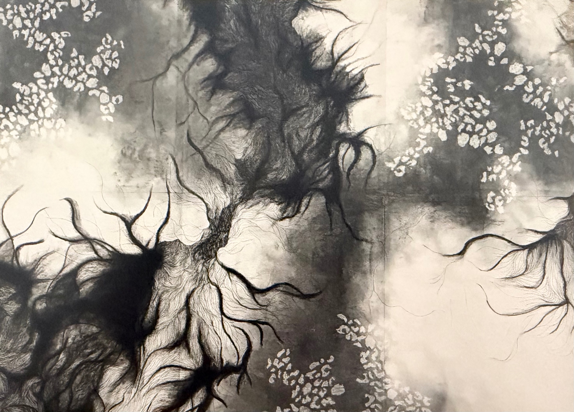 Postcard of Anya Kalsi, Echoes of Entanglement, 2024