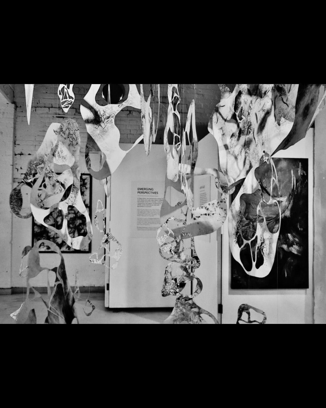 Hanging installation interacting with framed works, Emerging Perspectives