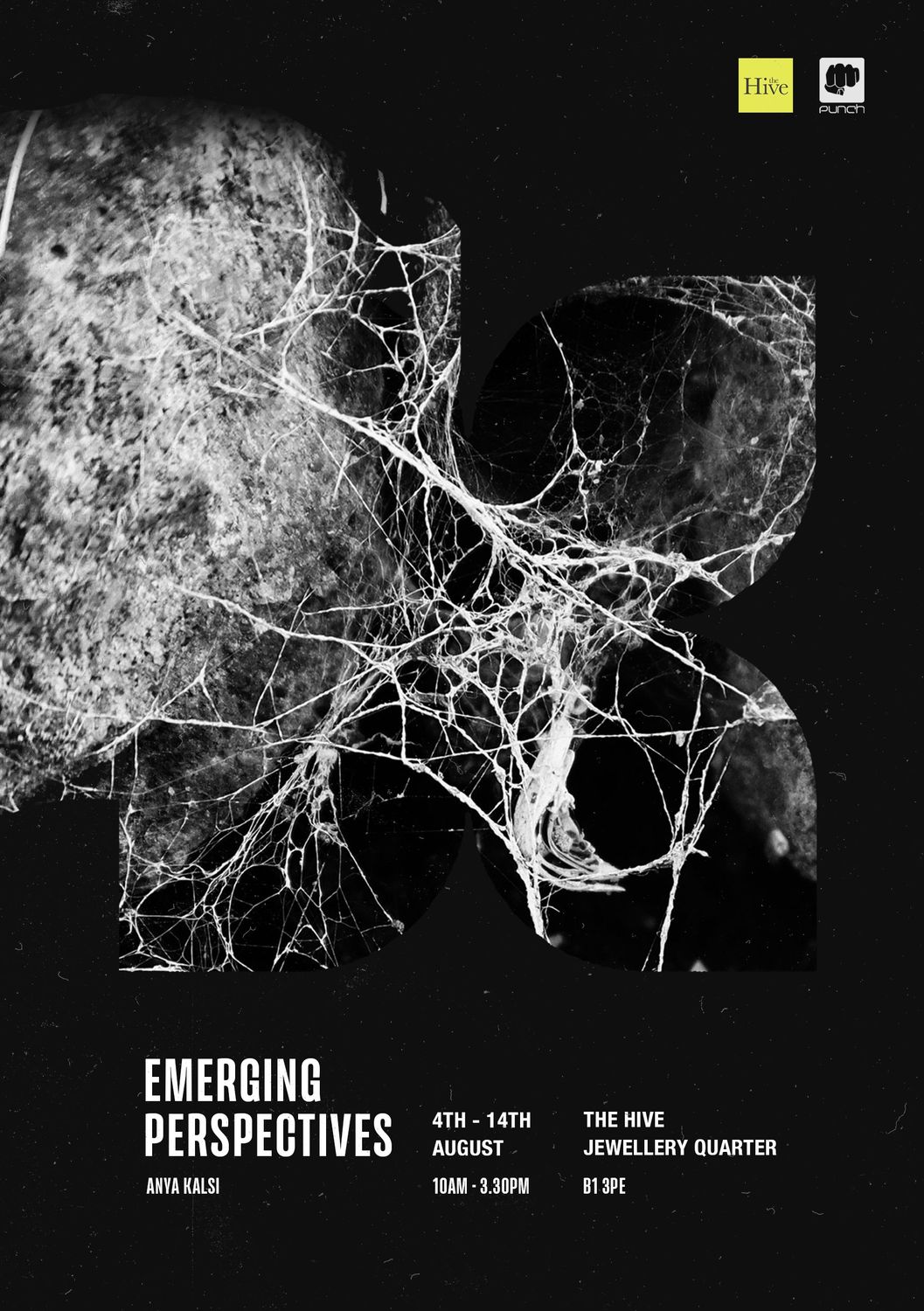 Emerging Perspectives exhibition poster