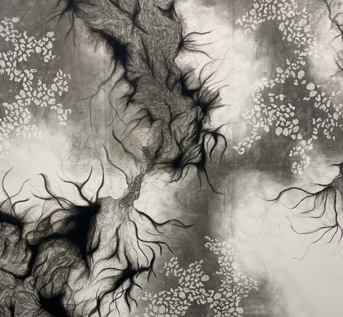 Detail of a large monochrome drawing by Anya Kalsi, branching root-like forms in graphite
