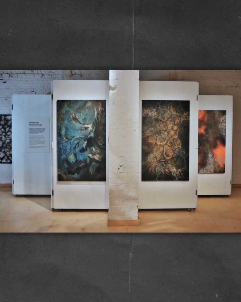 Main gallery overview, Emerging Perspectives, The Hive, Birmingham