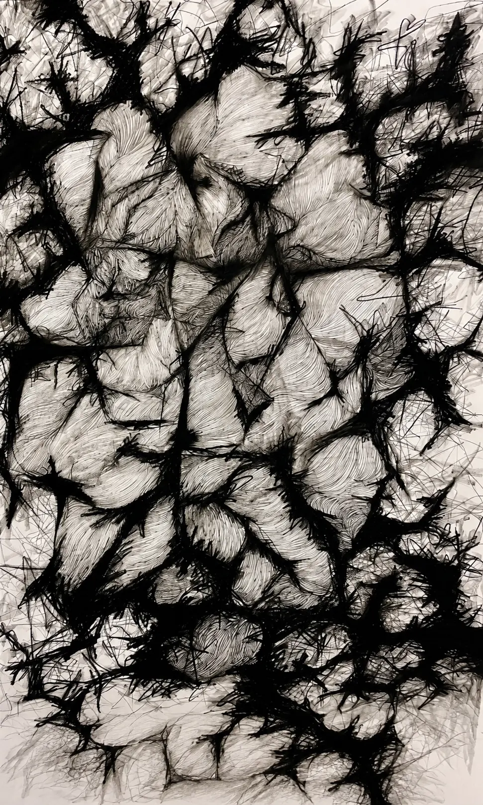 Anya Kalsi, Delicate Entanglements, 2023, fine liners and charcoal on paper