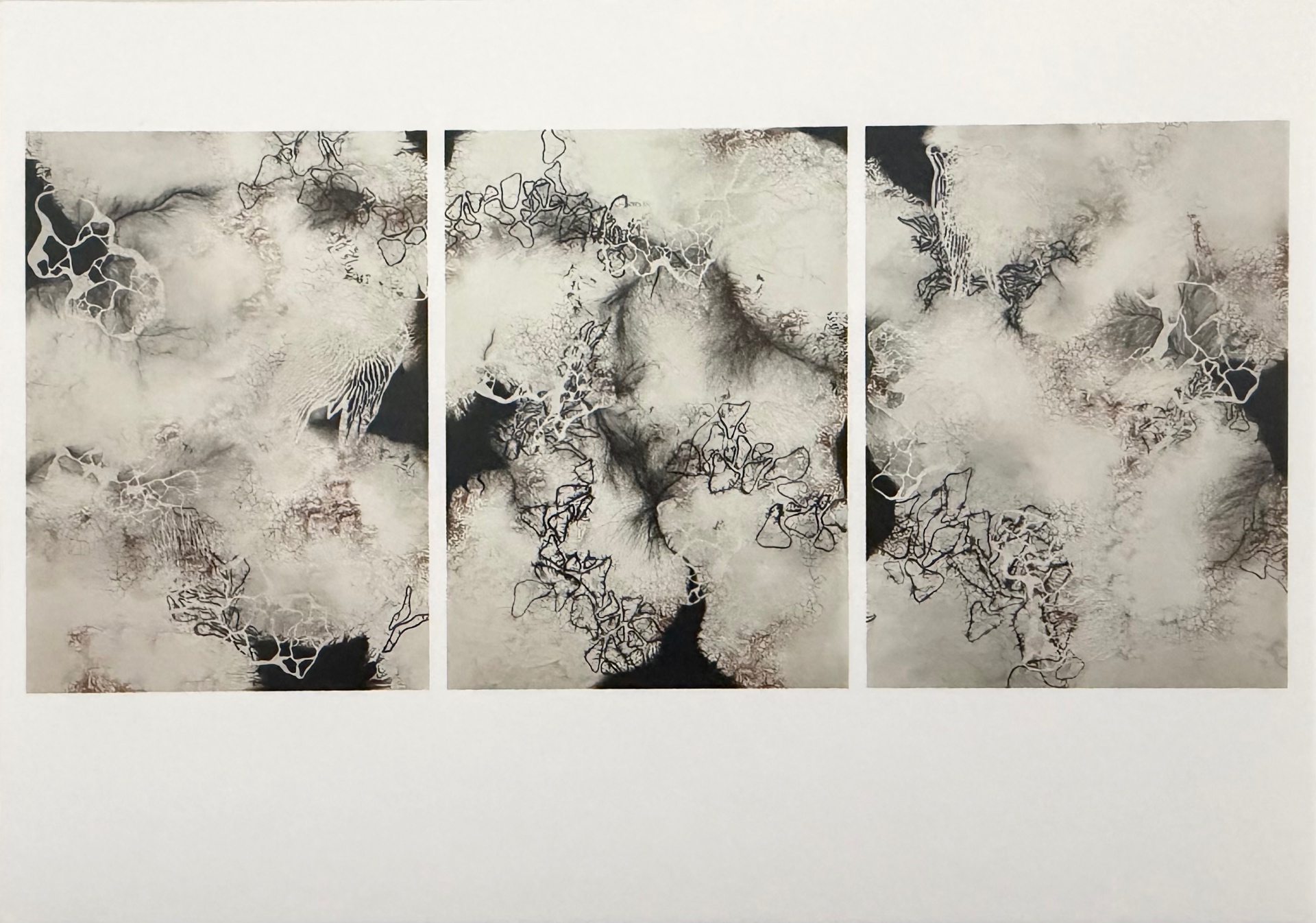 Postcard of Anya Kalsi, Convergence of Subtle Movements, set of three, 2025