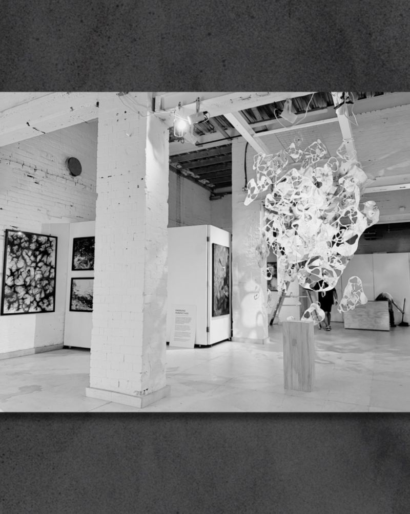 Spatial installation view showing the work within The Hive's architecture