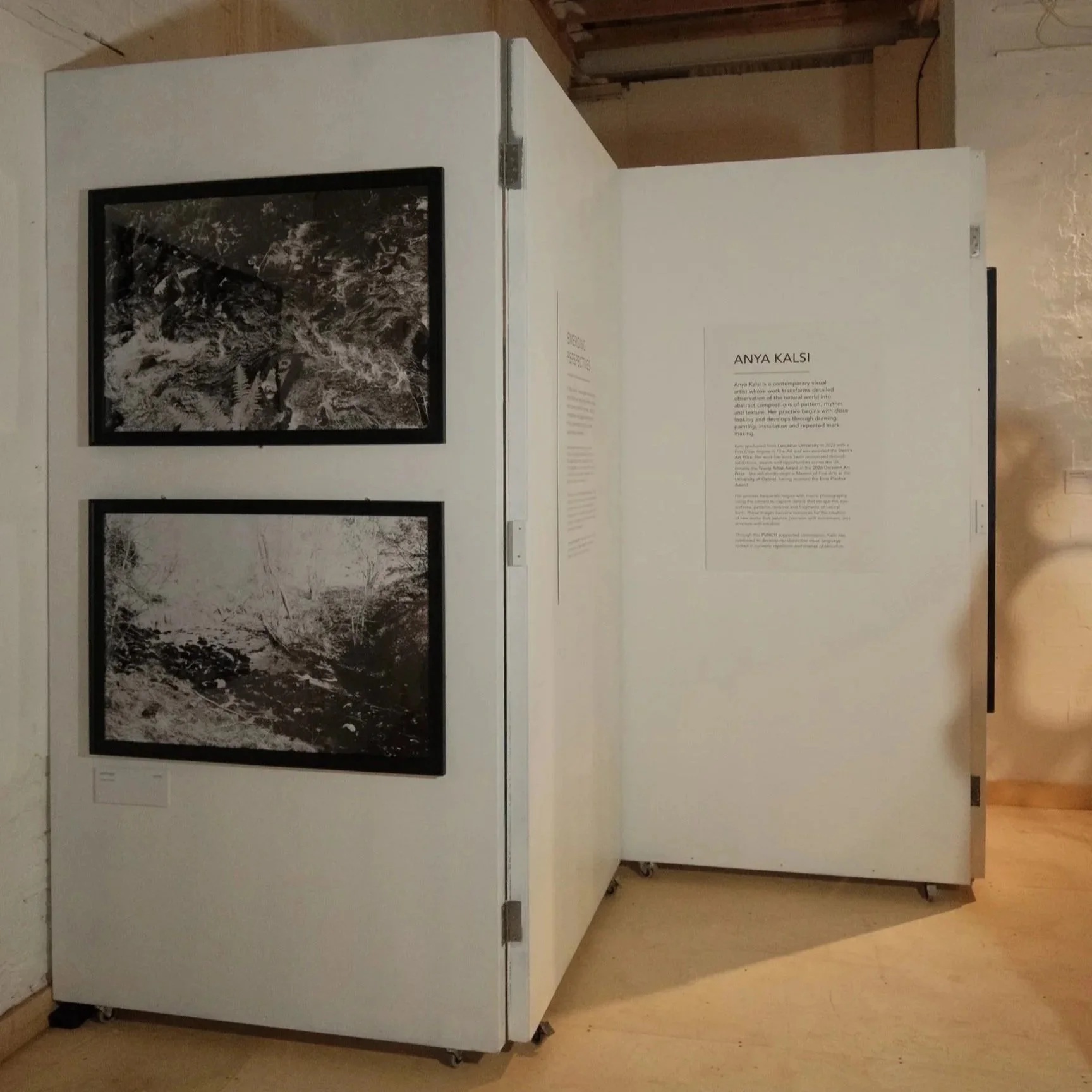 Anya Kalsi, Emerging Perspectives, solo exhibition at The Hive, Birmingham, 2026