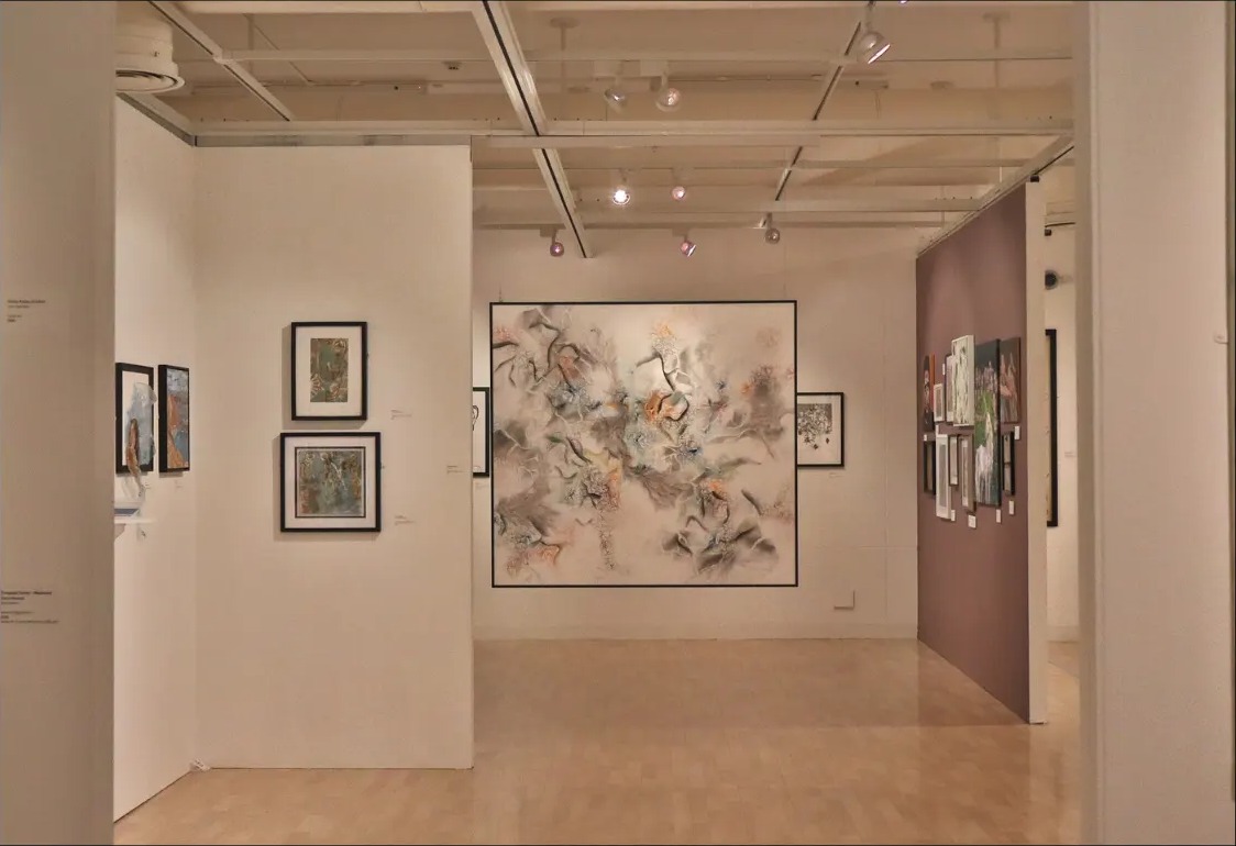 Chromatic Bloom installed at the Rugby Open 2025, Rugby Art Gallery & Museum