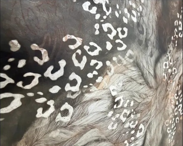 Detail of Anya Kalsi, Echoes of Entanglement, The Darker Thread